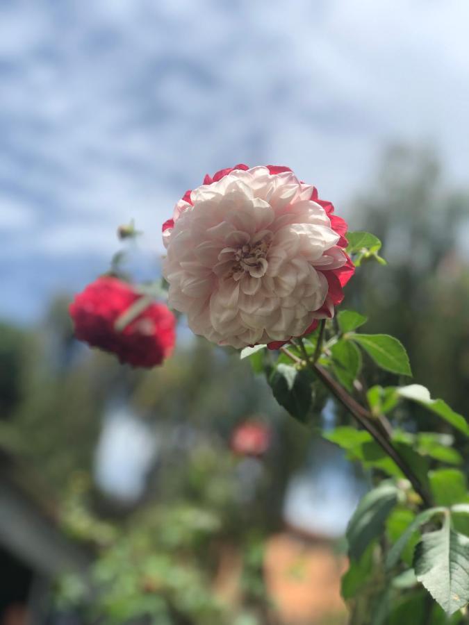 Sunny Homestay Mui Ne 潘切 外观 照片